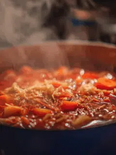 Bereidingsproces Borscht